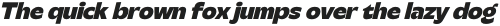 Steg Pro ExBold Italic otf (700)