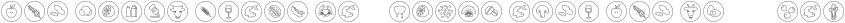 Allergen Solid otf (400)