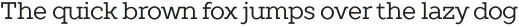 TT Slabs Thin Italic otf (100)
