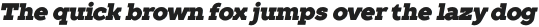 TT Slabs Light Italic otf (300)