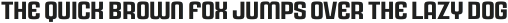 Rauda Solid Regular otf (400)