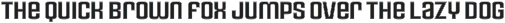 Rauda Font Family preview