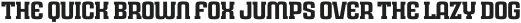 Rauda Slab Solid Regular otf (400)
