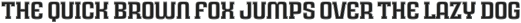 Rauda Slab Inline Regular otf (400)
