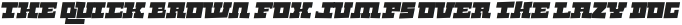 SPIKEBOT Regular Italic otf (400)
