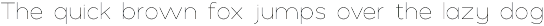 Polly - Thin preview