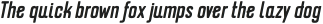 Erazm Regular Italic otf (400)
