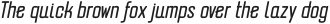Erazm Light Italic otf (300)