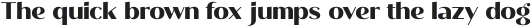 Roden ExtraBold otf (700)