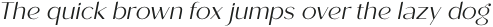 Roden Light Italic otf (300)