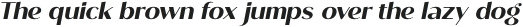 Roden Bold Italic otf (700)
