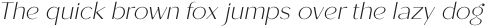 Roden Thin Italic otf (100)