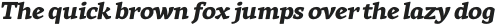 Rival ExtraBold Italic otf (700)