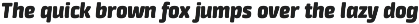 Neuron black italic preview