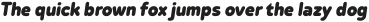 Betm Rounded Black Italic otf (900)