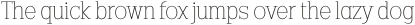 Codename FX Thin otf (100)