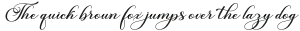 Burberry Script Regular otf (400)