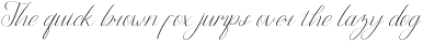 Flasstival Italic otf (400)