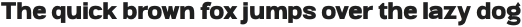 Ringtail Sans Serif Regular otf (400)
