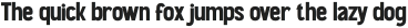 Thunder Garage Sans Serif Reg otf (400)