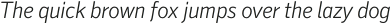 Secca Light Italic otf (300)