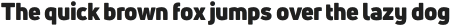 Uni Neue Black otf (900)