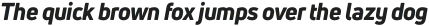 Uni Neue Heavy Italic otf (800)
