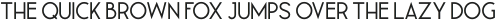 Leaner_Bold otf (700)