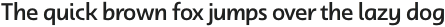 Dulcian Norm Medium otf (500)