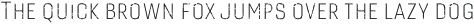 Gineso Titling Rough Thin otf (100)