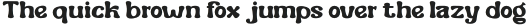 Burkey-Bold otf (700)