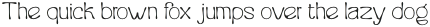 Burkey Thin otf (100)