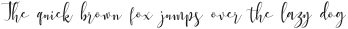 Roselline  Regular otf (400)