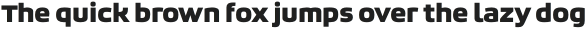 Bruum FY Black otf (900)