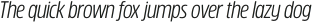 Rockeby Script Two Light otf (300)