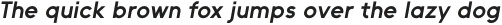 II Vorkurs Bold Oblique otf (700)