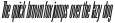 TT Bluescreens Condensed Italic otf (400)