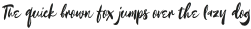 Kayto Script Alternate One otf (400)