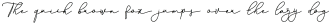 TheBronych-Regular otf (400)