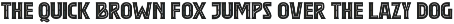 American Champion – Display Serif font preview