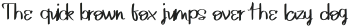 Ethnic West ttf (400)