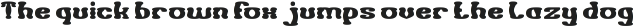 HAPPY CLOWN-Light otf (300)