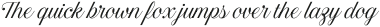 Estampa Script Light otf (300)