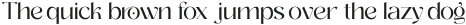 Zitter Medium otf (500)