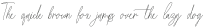Cartis Beautyful Script otf (400)