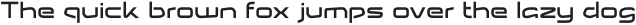Racona Regular otf (400)