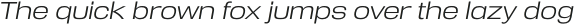Reversal Light Italic otf (300)