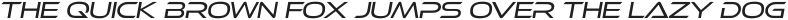 Ethnocentric Light Italic otf (300)