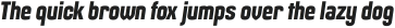 Maqui Heavy Italic otf (800)
