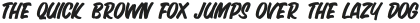 NEW SIGN WRITING Regular otf (400)